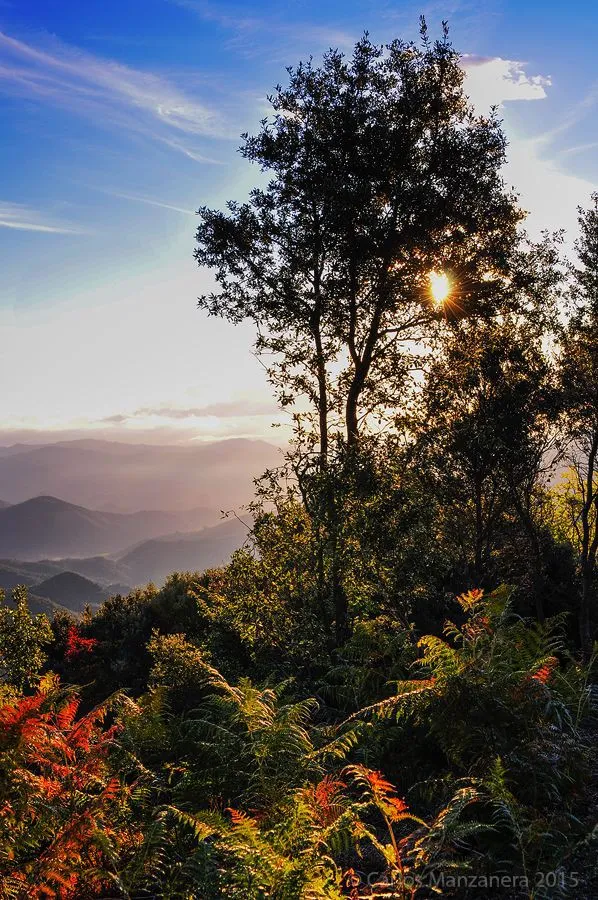 ⛰️ 2. Montseny Natural Park – ბუნების რეზერვატი UNESCO-ს სიაში